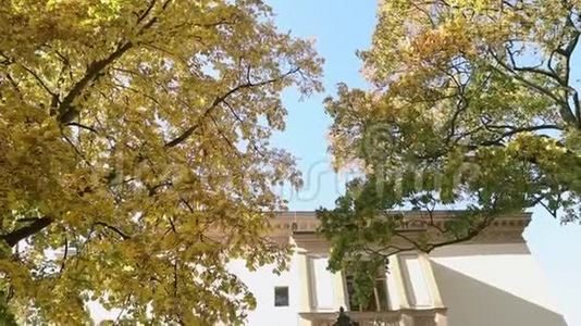 美丽的大树，老别墅前有秋黄的叶子，树上有黄叶的背景视频