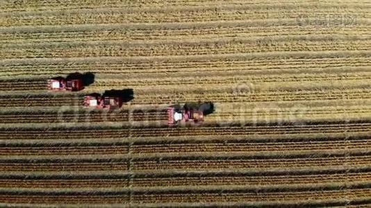 高空俯视图.. 三台大红联合收割机在初秋收割玉米田。 过滤拖拉机视频