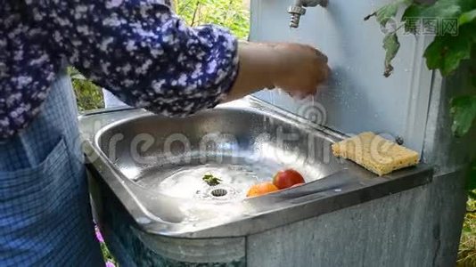 女人在户外的洗脸台洗西红柿视频