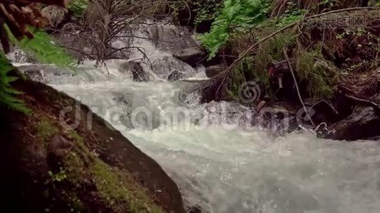 在山上肆虐的河流视频