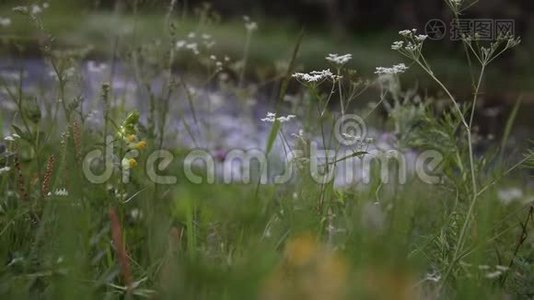 冰岛黄金圈的苏富沃斯瀑布岩石景观，悬崖特写的河水在岩石上流淌视频