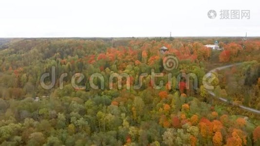 秋季景观鸟瞰秋光多彩树，绿色，橙色和红色色调。视频
