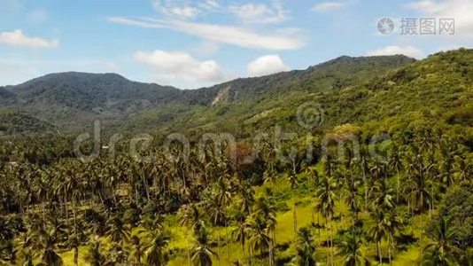 空中无人机观观岛景观，椰子棕榈种植园，泰国。 自然田园天堂场景.. 山区视频