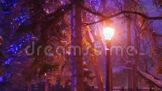一盏夜灯照亮了公园的降雪视频