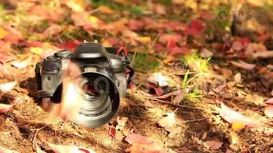 在一架黑色的单反相机上躺在地上，秋天的树叶飘落视频