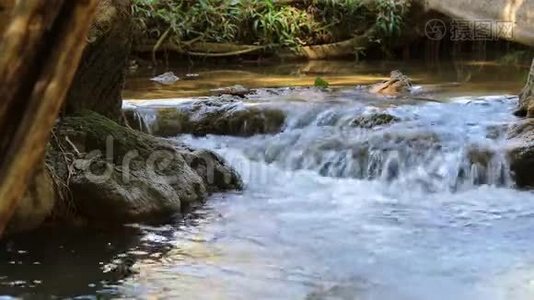 美丽的瀑布和翡翠池视频