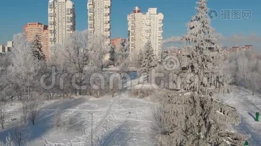 晴天雪覆盖的城市公园景观.. 莫斯科，俄罗斯视频