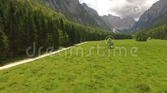 高空飞行：斯洛文尼亚拉多夫纳美丽的青山山谷景观视频