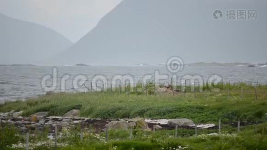 海浪拍打海岸巨石，夏季有绿色牧场前景视频