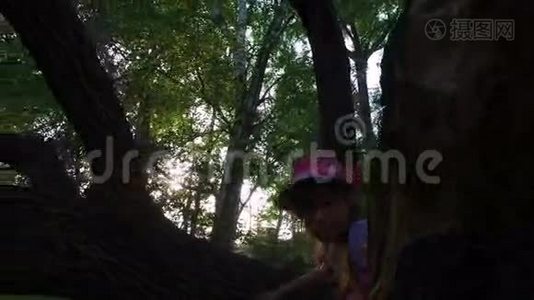 女孩试图爬上一棵树。 但她不能。 她还小。 古老的杂草丛生的公园。视频
