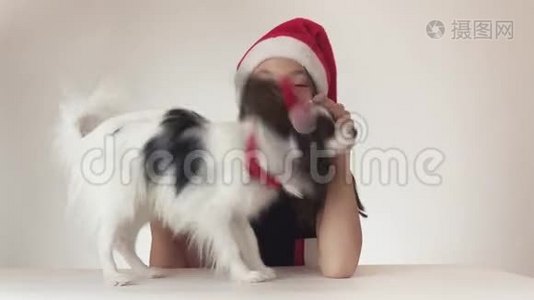 美丽的少女和狗大陆玩具斯帕尼尔·帕皮隆戴着圣诞老人的帽子，快乐地亲吻和愚弄着视频