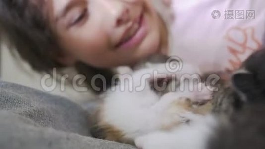 女孩和两只可爱的小猫的概念-快乐的小女孩和猫在床上在家里。 女学生、婴儿和猫对生活方式的热爱视频