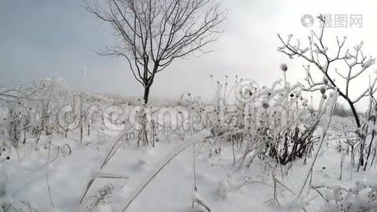 冬天的雪田。视频