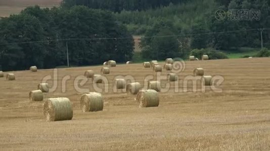 农业领域。 圆捆稻草捆在田野里。视频