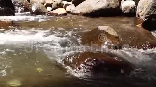 美丽的河流清澈的水流穿过石头和岩石视频