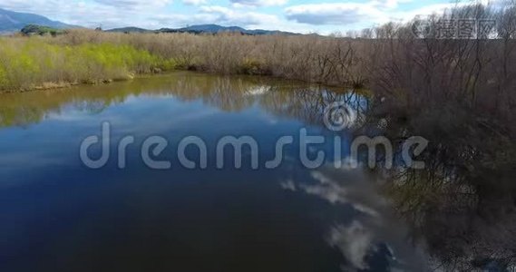 绿树成荫的湖泊，周围有4k24fps森林视频