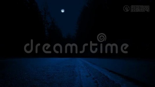 穿过马路穿过森林，夜晚视频