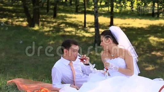 婚礼野餐视频