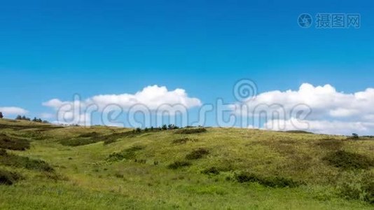 时间推移黄绿色的小山和天空与云。 野草。视频