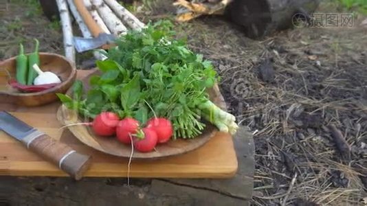 林中砧板上的新鲜蔬菜和小刀..视频