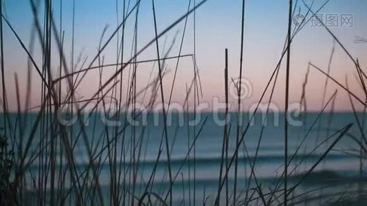 波罗的海海岸线通过草地观景视频