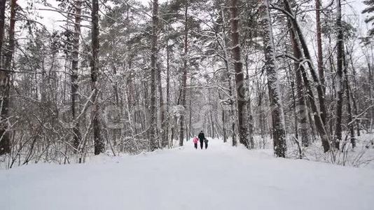 人和孩子牵手，在冬林中奔跑.. 慢动作视频
