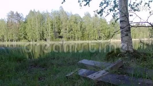 美丽的芬兰湖，绿林背景视频
