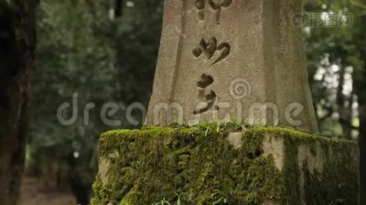 传统风格的日本灯笼视频