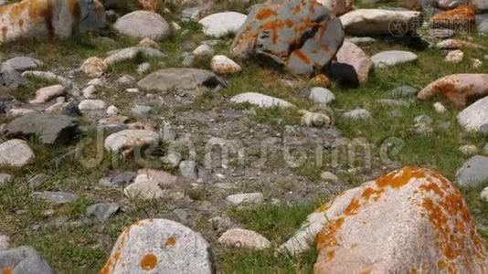 落基河在山谷中流淌。 湍急的山河视频