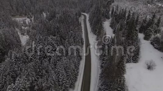 在雪林中驾驶冬季乡村道路的汽车，从无人驾驶飞机上俯瞰空中景色视频