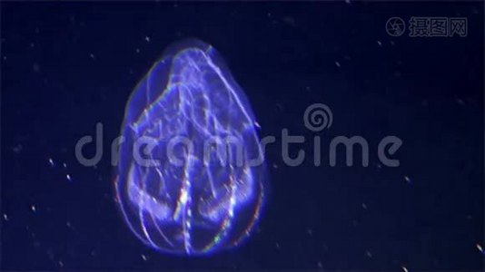 太平洋海底发光水母。视频