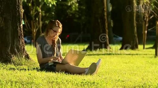日落时分坐在绿色草坪上用笔记本电脑工作的妇女视频