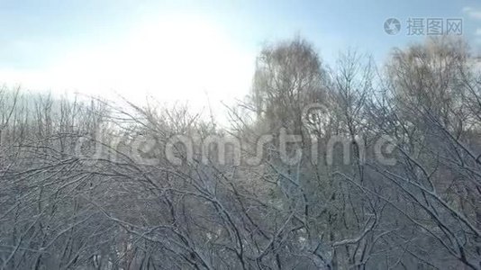 空中拍摄：阳光透过覆盖着雪的树木照进照相机视频