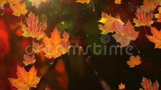 秋天的叶子在缓慢的运动中飘落，阳光透过落叶照耀。视频
