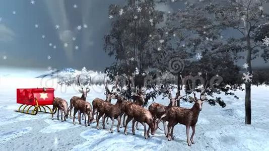 圣诞老人`雪橇在等驯鹿。视频