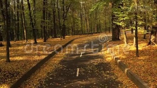 沥青路在秋林，缓慢，平稳的无人机飞行.. 秋天森林里的沥青路，缓慢平稳的无人机飞行视频