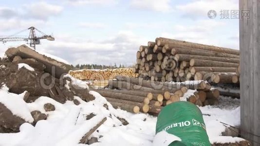 锯木厂堆场堆积如山的木材覆盖着积雪视频