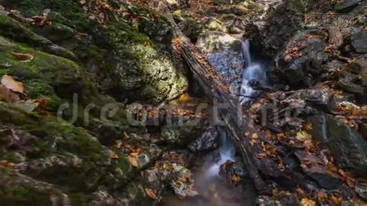 秋天落叶的森林小溪，慢慢地，慢慢地视频