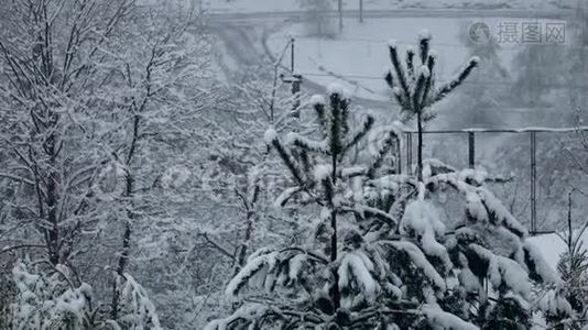 雪平静地落在树枝上。 冬天，慢动作视频