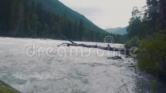 空中低飞在绿松石色的河流之上，穿过春天的山谷视频