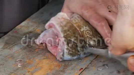 一个渔夫把一条活泼的大鱼切成碎片。 清洗淡水鱼以作进一步烹饪视频
