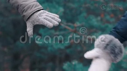 两人手牵着森林背景慢镜头视频