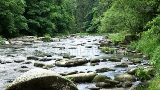 有森林、河流和石头的景观视频