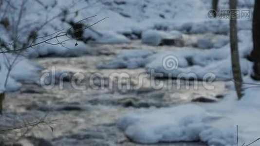 冬天，一条美丽的清澈的小溪，雪从树林里流过。视频