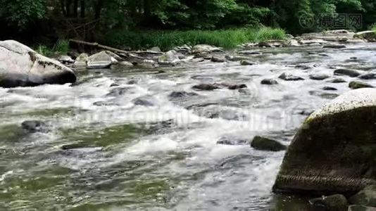 有森林、河流和石头的景观视频