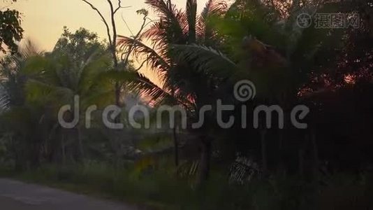 视角拍摄了一条美丽的热带道路，日落时有棕榈树和树后的一个湖。 旅费视频