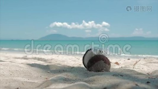 在热带海滩上，菠萝在炎热的夏季阳光下，戴上太阳镜，在热带异国海岸上拍摄一幅水果特写。视频
