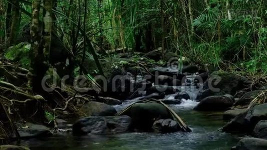 美丽的山溪流经泰国热带雨林的丰富森林。视频