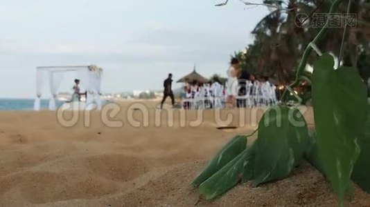 海滩上的婚礼视频