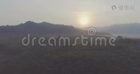 太阳从热带雨林上空升起。 空中飞行。视频